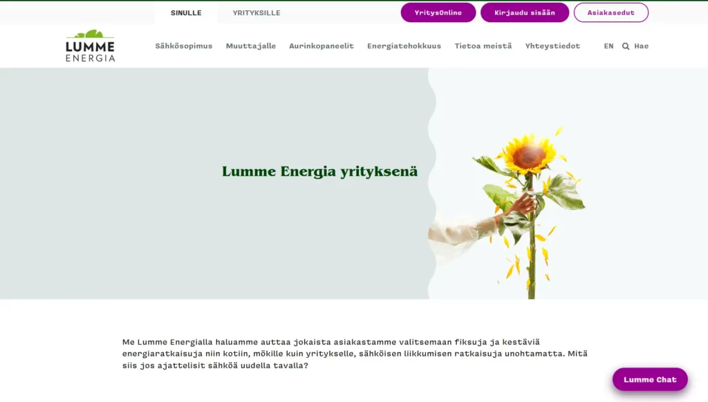 lumme energia kokemuksia
