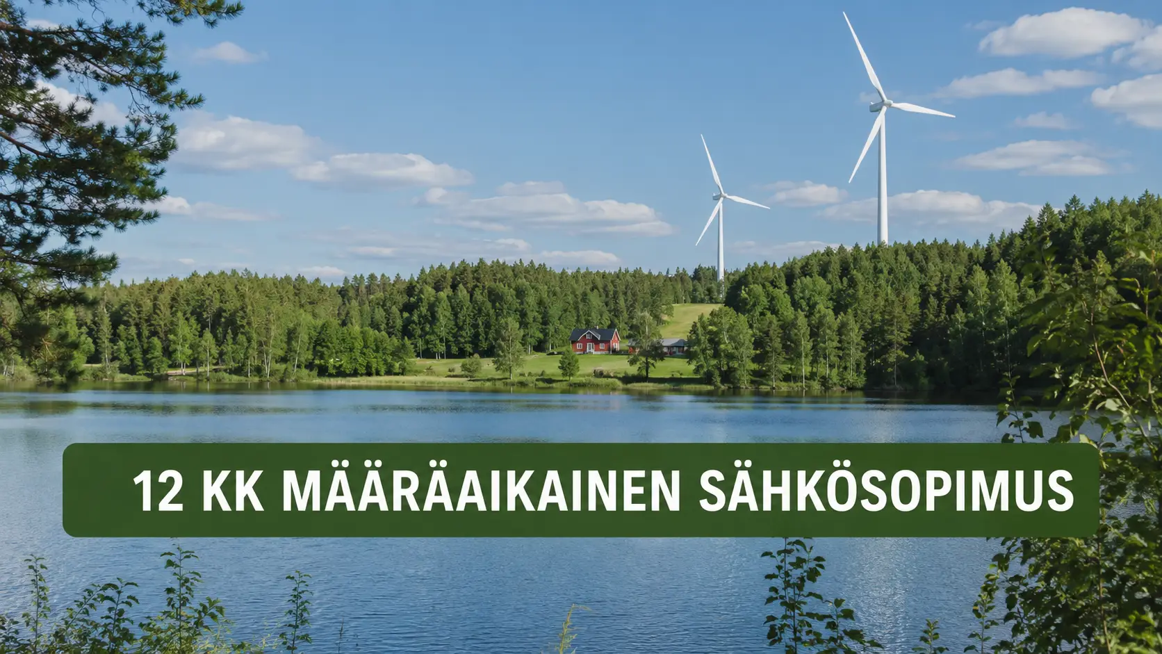 12 kk määräaikainen sähkösopimus